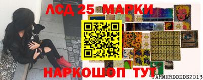 шишки Бузулук