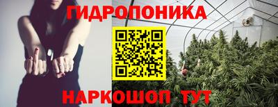 шишки Бузулук