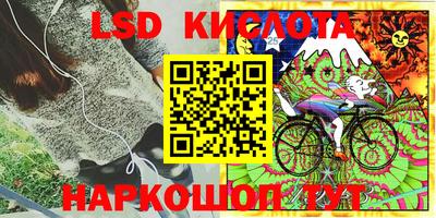 шишки Бузулук