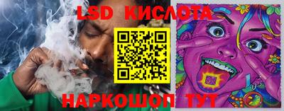 шишки Бузулук