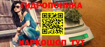 ГАЛЛЮЦИНОГЕННЫЕ ГРИБЫ Будённовск