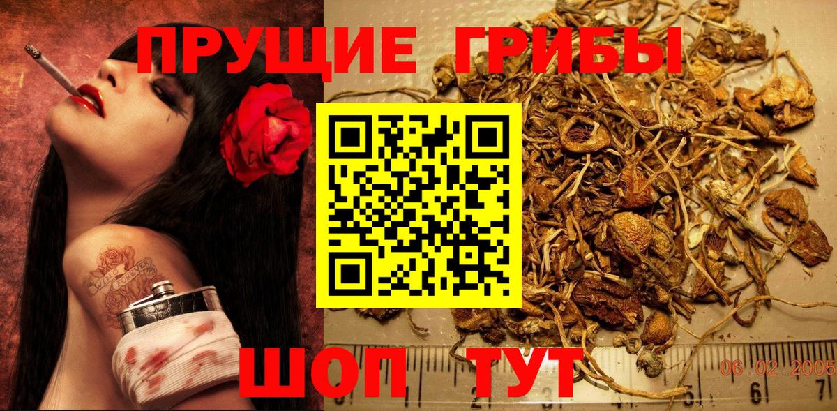 Псилоцибиновые грибы мухоморы Подольск